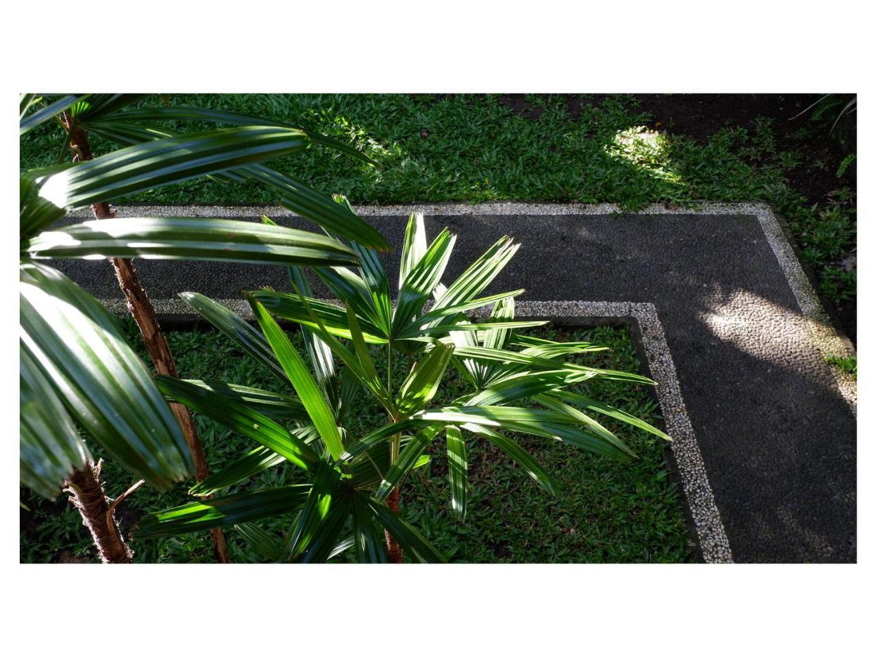 Ferienwohnung In Da Garden Ubud Exterior foto
